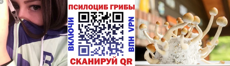 Псилоцибиновые грибы Cubensis  цены наркотик  Лодейное Поле 